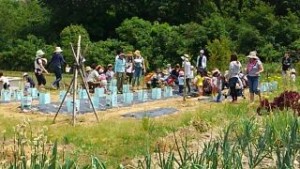 ちびっこ農園